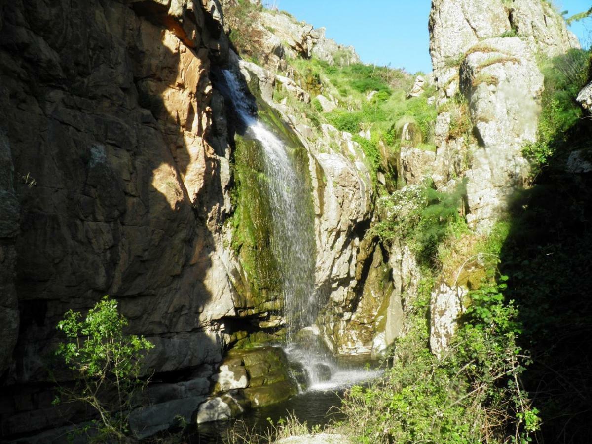 Enzamorarte Dış mekan fotoğraf